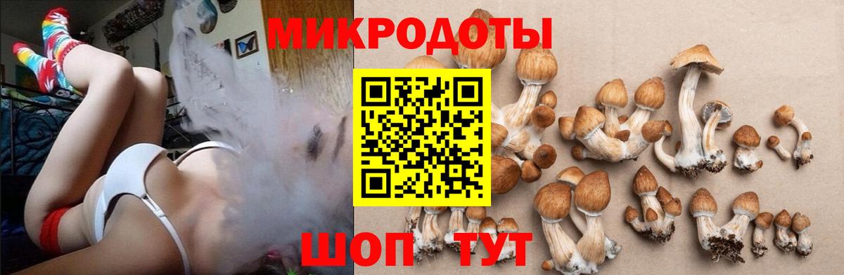 Озёрск  наркота  Вход с VPN  Псилоцибиновые грибы Psilocybe 